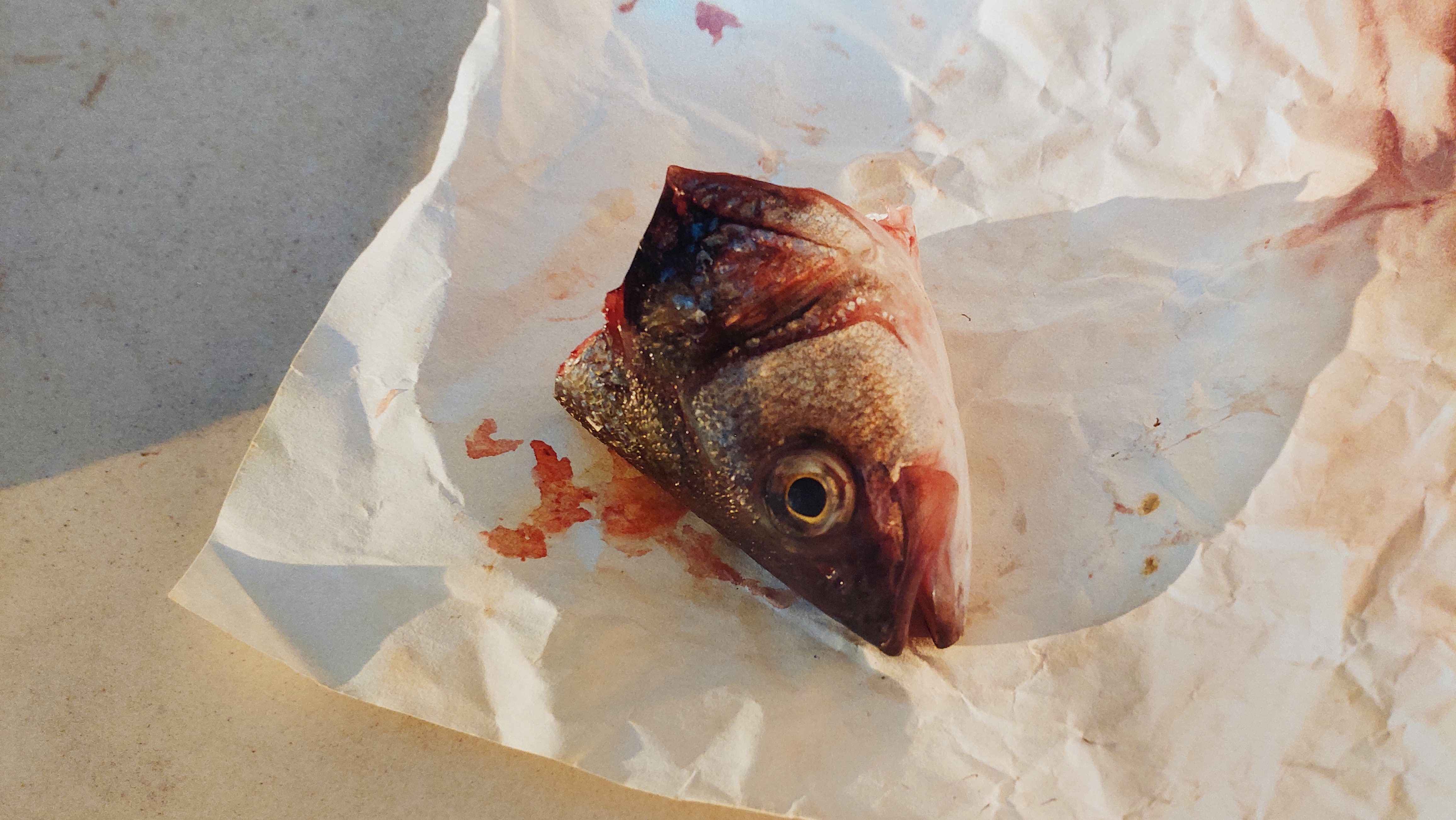 Buitenaanzicht of zaal van FOAM Fotografiemuseum